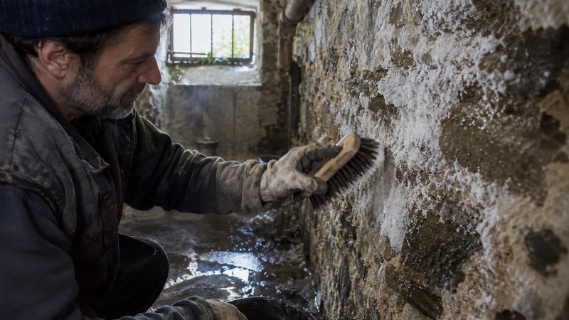 Comment réussir le traitement du salpêtre pour vos murs