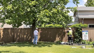 Gérer les arbres envahissants de votre voisin : vos droits et solutions pratiques